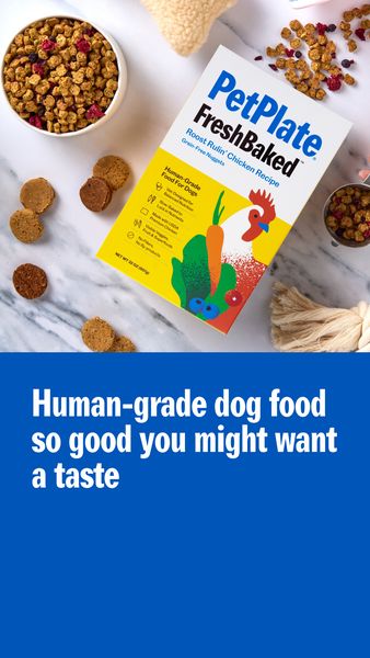 The ad showcases dog food products on a white marble surface. In the center is a product box with the brand name and product details. To the left, there is a bowl and few pieces of food, and scattered around are more pieces of food. The ad copy at the bottom reads: "Human-grade dog food so good you might want a taste."