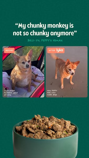 The ad showcases a before-and-after comparison of a dog. The left side shows a dog labeled "BEFORE" with text indicating it was overweight. The right side shows the same dog, now thinner, labeled "AFTER". A quote at the top states, "My chunky monkey is not so chunky anymore", attributed to the dog's human. At the bottom, a bowl of dog food is displayed. The background is a solid teal green.