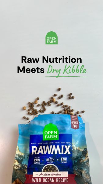 The image is a vertical ad showcasing pet food. The top features the logo of the brand with the text "Raw Nutrition Meets Dry Kibble". Below, a partially open bag of pet food is visible. Some kibble is scattered on the white surface. The bag displays packaging details of the dog food, with a blue and white design evoking natural imagery. The raw mix is highlighted with the text "Raw + Broth + Raw Chunks"