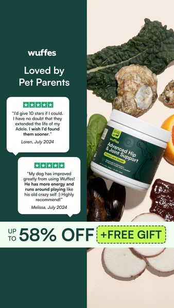 The ad features a vertically oriented composition with a split-screen design. On the left, a dark teal background presents the text \"Loved by Pet Parents\" with two customer quote bubbles. Each bubble includes a 5-star rating. The bubble on top says \"I'd give 10 stars if I could. I have no doubt that they extended the life of my Adele. I wish I'd found them sooner.\" The bottom bubble says \"My dog has improved greatly from using Wuffes! He has more energy and runs around playing like his old crazy self :) Highly recommend!\".On the right, there's a selection of ingredients, including oyster, kale, the product bottle in the middle, and some root vegetables at the bottom. The brand name is on the product bottle and the text about offering a discount.