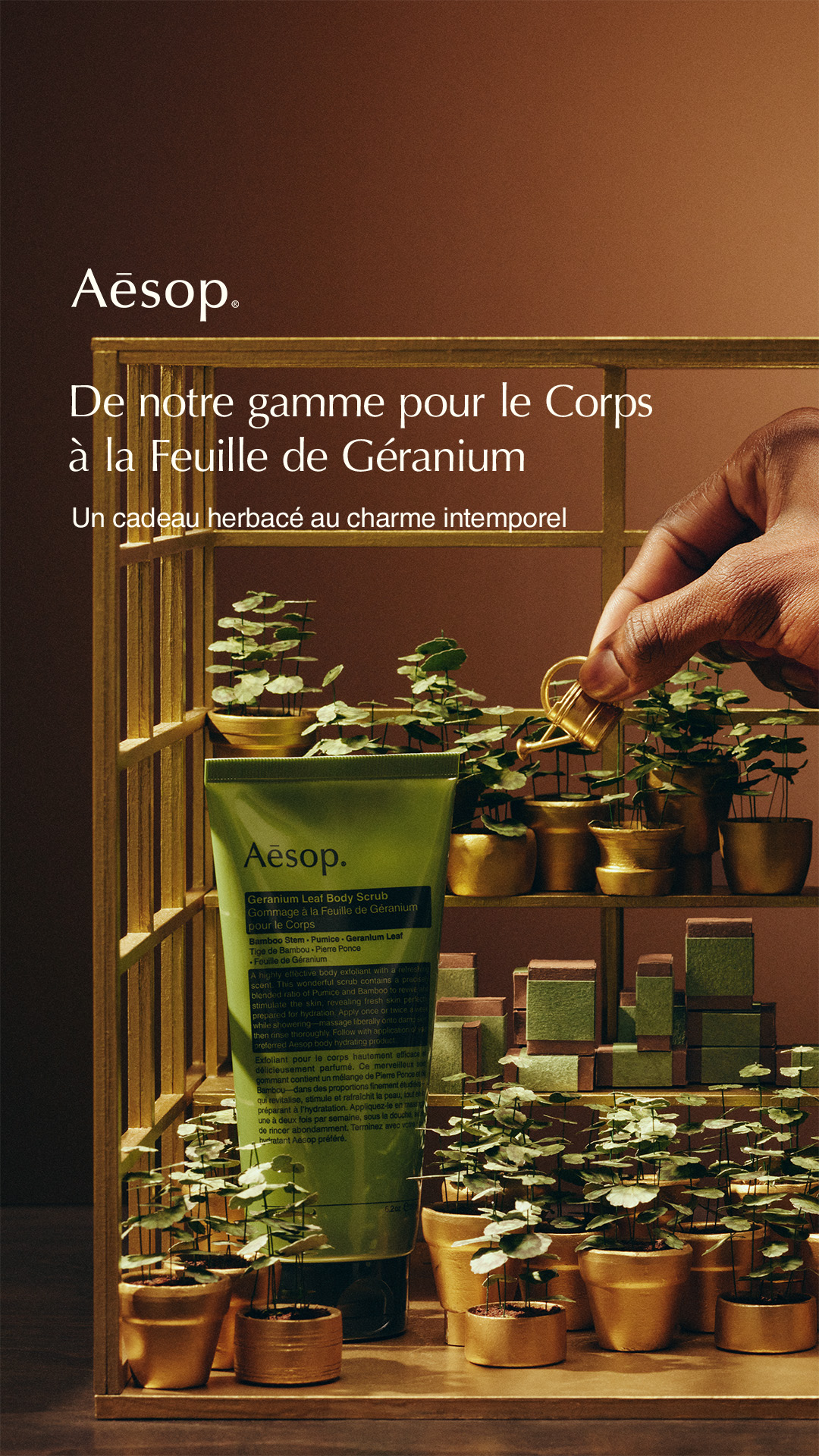 The creative features a green tube of Aesop Geranium Leaf Body Scrub displayed on a golden shelf surrounded by small potted plants. A hand is seen watering the plants with a small golden watering can. The text overlay announces "Disponible en ligne avec livraison offerte : Gommage à la Feuille de Géranium pour le Corps. Un cadeau vivifiant qui fait toujours mouche." which translates to "Available online with free delivery: Geranium Leaf Body Scrub for the Body. A invigorating gift that always hits the mark."