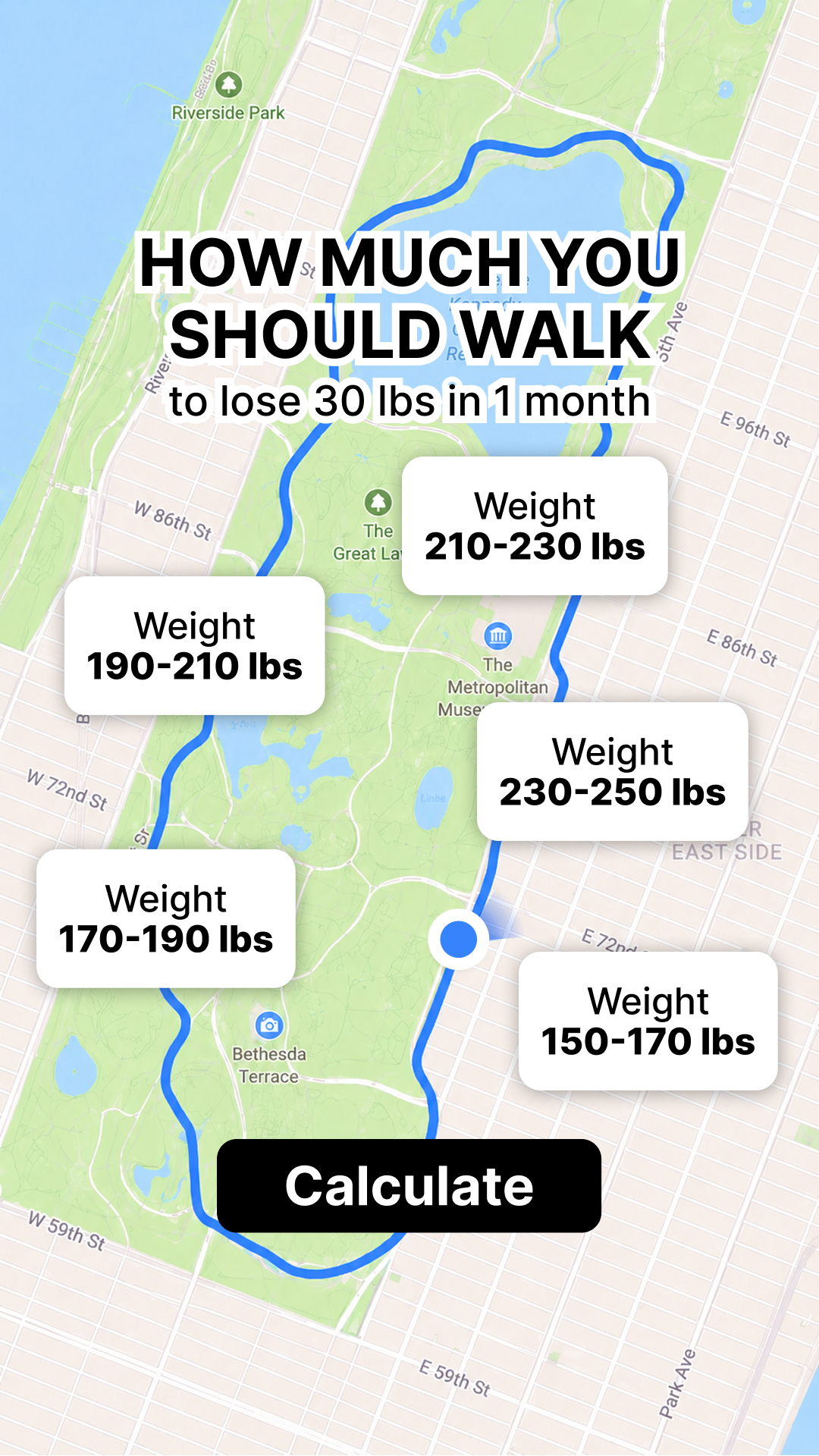 A map of Central Park in New York City is shown with a blue line indicating a walking path. Several white text boxes are overlaid on the map, each displaying a weight range and corresponding walking recommendations. For example, one box reads "Weight 210-230 lbs". At the bottom of the image, a black button with white text says "Calculate". The main text at the top asks "HOW MUCH YOU SHOULD WALK to lose 30 lbs in 1 month".