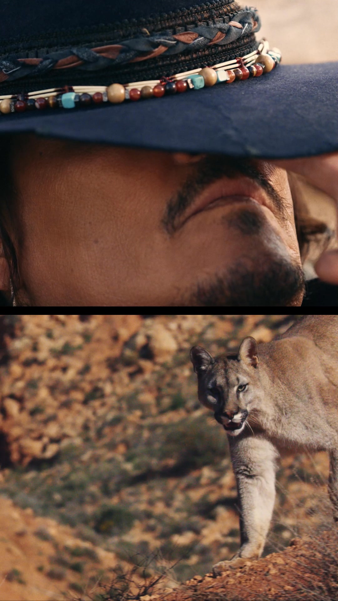 The top half of the creative shows a close-up of a man's face, partially obscured by a dark hat adorned with beads and leather. The bottom half features a mountain lion in a rocky, arid environment. The text overlay reads "« In the wild, everything is always in front of you »", followed by "Sauvage, the new film starring Johnny Depp. Free, fearless, and peaceful. #diorsauvage".