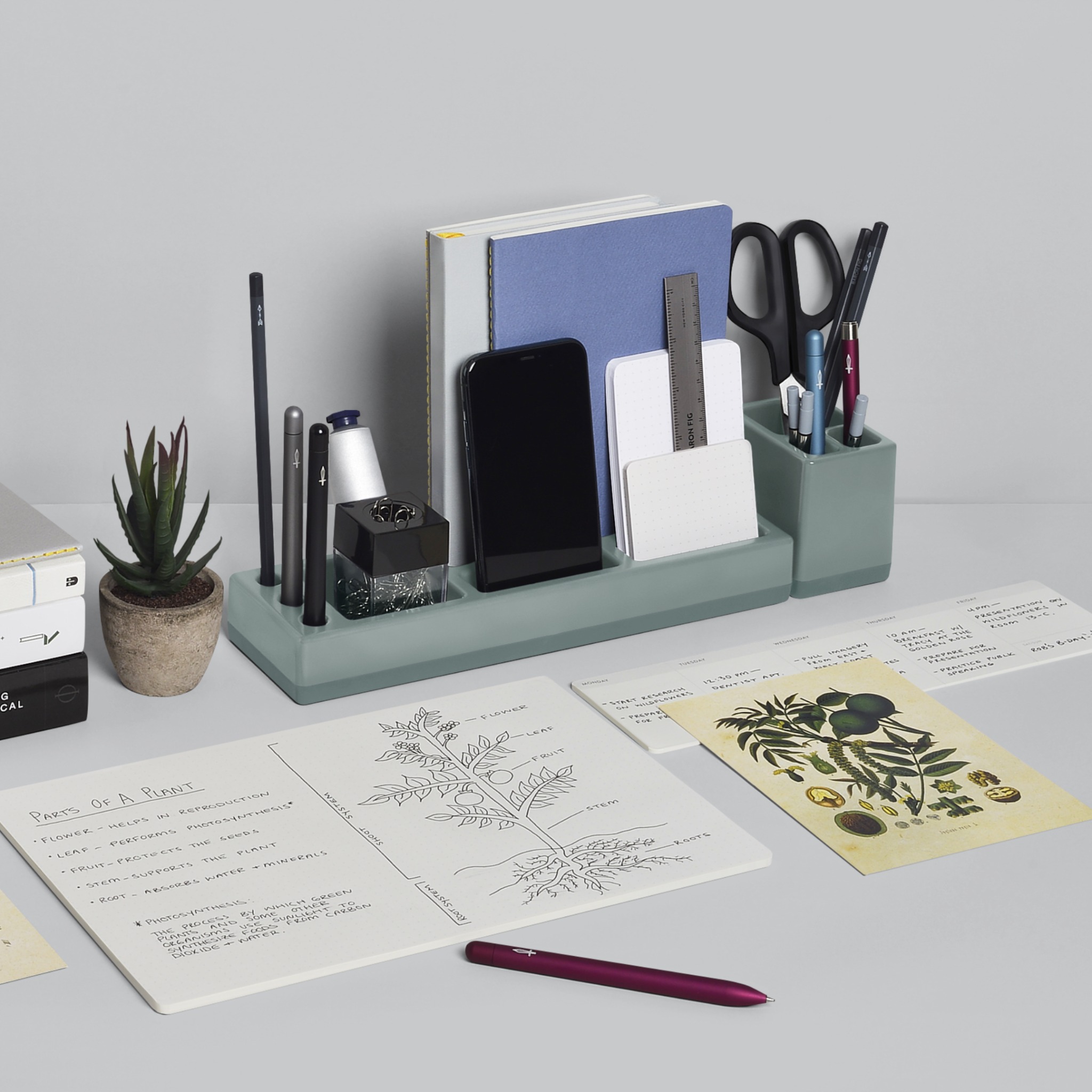 A flat lay composition shows a desk with various office supplies and notes. In the foreground, a purple pen rests on a grey surface. Behind it, a notebook displays a detailed drawing of a plant with labels like 'flower,' 'leaf,' 'fruit,' 'stem,' and 'roots,' along with a definition of photosynthesis. To the right, a vintage-style illustration of walnuts and leaves is placed on a planner. The background features a desk organizer holding pens, scissors, a phone, and notebooks. The text "Maintaining an organized workspace can significantly boost your productivity and reduce stress." is overlaid on the image.