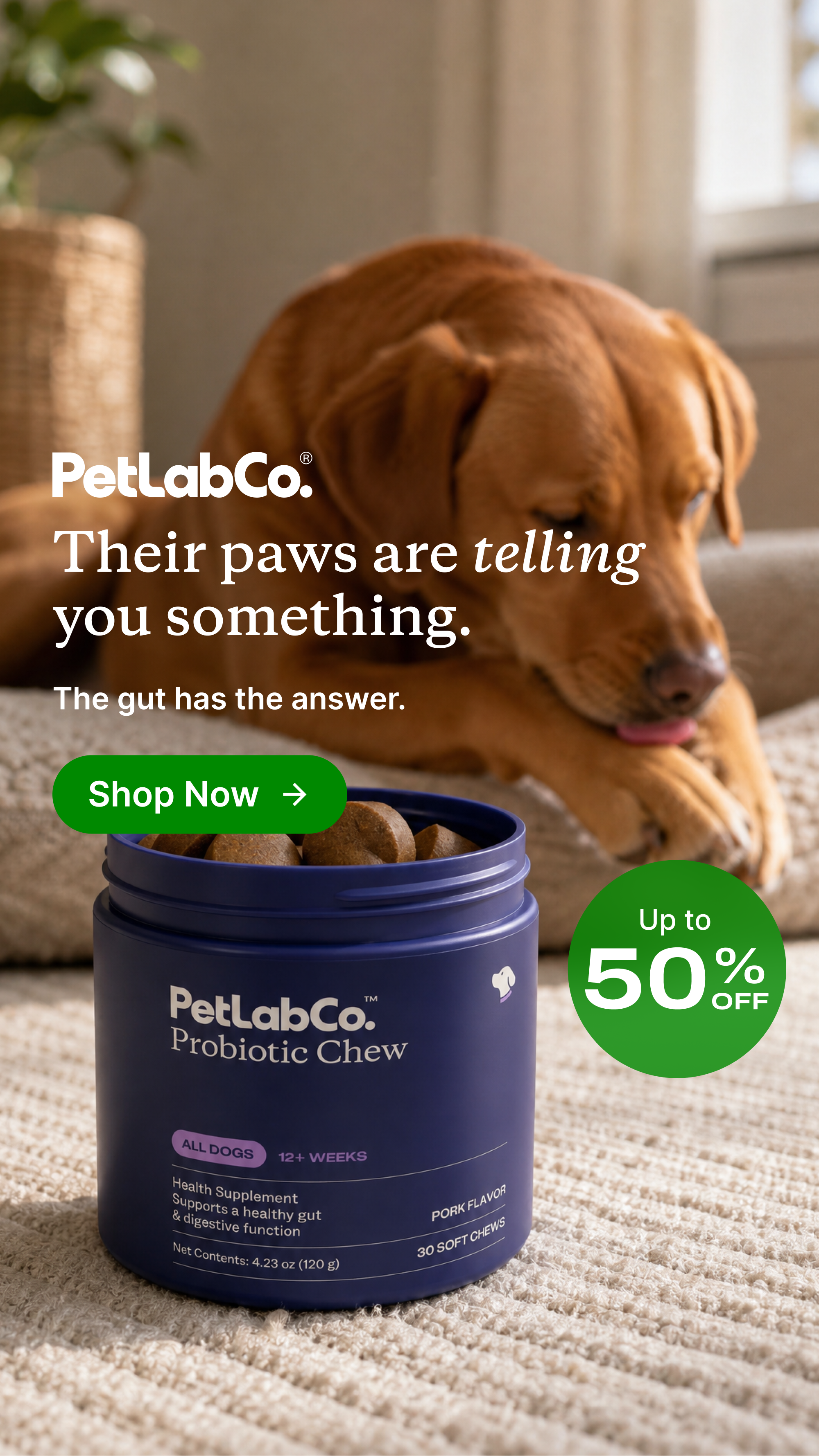 A golden retriever dog is lying down, with its paws in front of its face. Text overlays the image, reading "PetLabCo. Their paws are telling you something. The gut has the answer." Below the text, a green button says "Shop Now" with an arrow. A dark blue jar of "PetLabCo. Probiotic Chew" is in the foreground, with a green circle on the right side of the image stating "Up to 50% OFF."