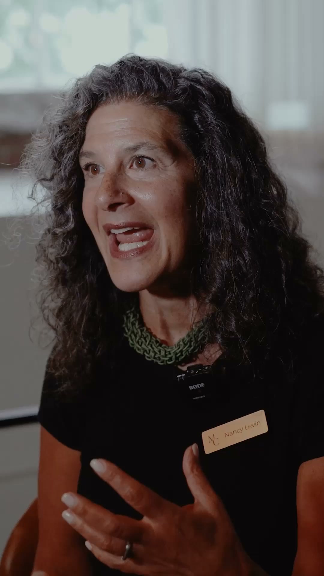 A woman with curly gray hair and a black shirt is shown from the chest up, speaking animatedly. She is wearing a green necklace and a name tag that reads "Nancy Levin." Text overlays highlight her business journey and success. The ad is a personal endorsement from Amy Porterfield, who is the founder of The Milly Club, a community for female online founders.