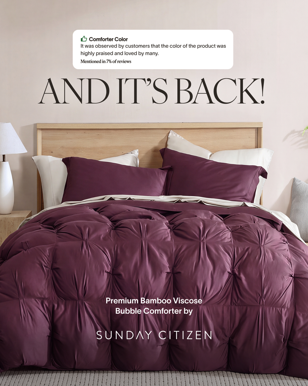 A close-up shot of a plush, deep purple comforter is displayed on a bed with wooden headboard. The comforter has a textured, bubble-like pattern. Above the bed, large, serif font text reads "AND IT'S BACK!". In the upper left corner, a speech bubble graphic contains text that reads "Comforter Color It was observed by customers that the color of the product was highly praised and loved by many. Mentioned in 7% of reviews". The brand name "SUNDAY CITIZEN" is visible at the bottom of the comforter.