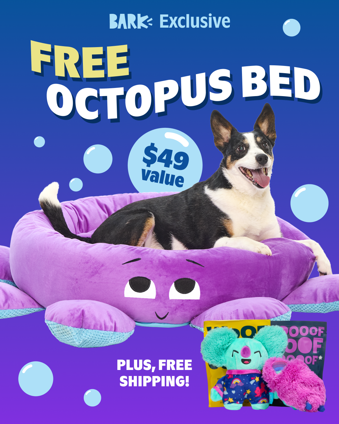 A dog is sitting in a purple octopus-shaped dog bed. The text "FREE OCTOPUS BED" is displayed prominently in large yellow and white letters at the top of the image. A "$49 value" bubble is shown near the dog's head. Below the bed, text reads "PLUS, FREE SHIPPING!" and two small plush dog toys are visible.