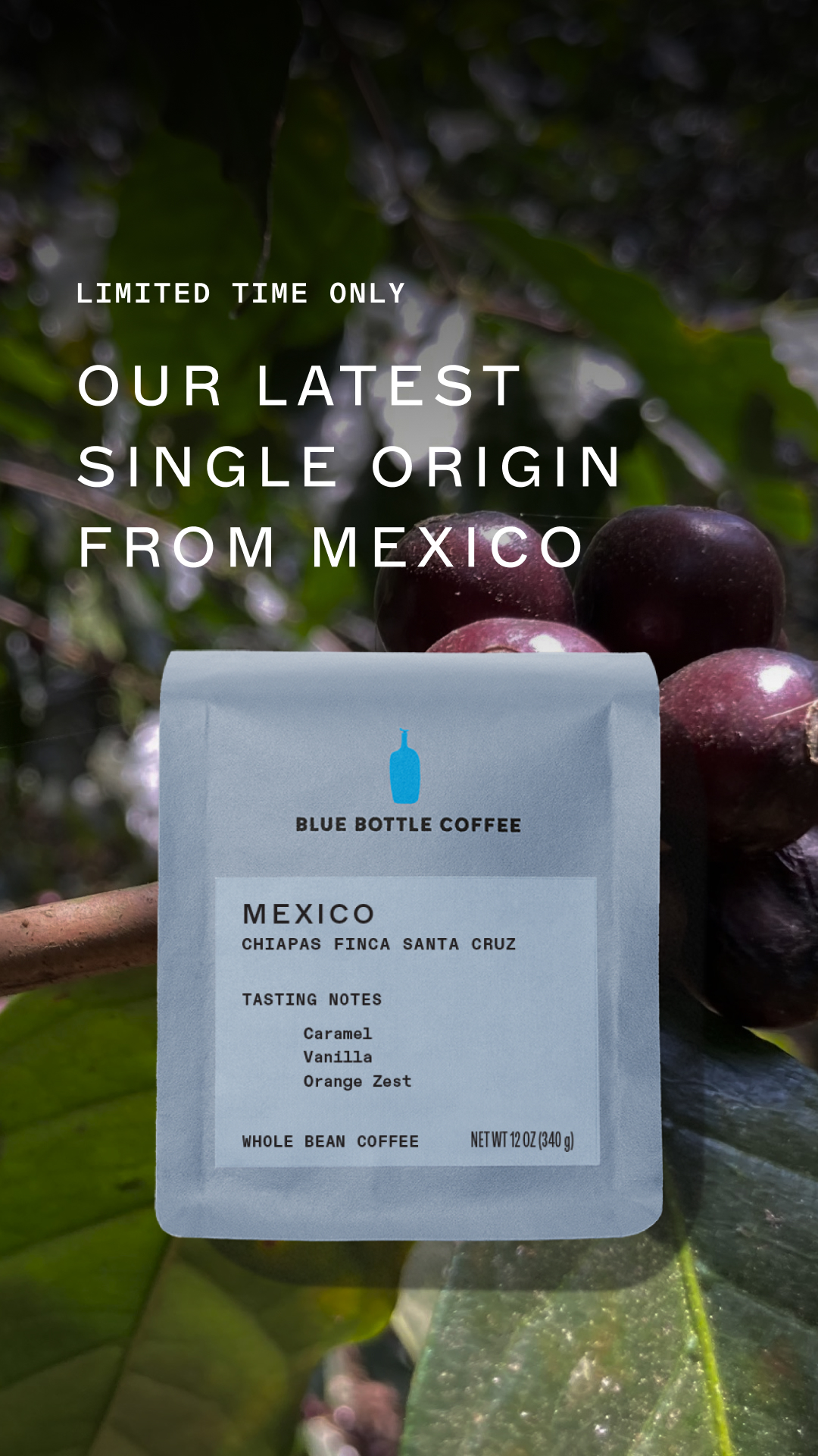 A bag of Blue Bottle Coffee with the text "MEXICO" and "CHIAPAS FINCA SANTA CRUZ" is shown in the center of the frame. The bag also lists "TASTING NOTES" as "Caramel, Vanilla, Orange Zest". Above the bag, large white text reads "OUR LATEST SINGLE ORIGIN FROM MEXICO". At the very top, smaller white text states "LIMITED TIME ONLY". The background is a blurred image of coffee cherries on a branch.
