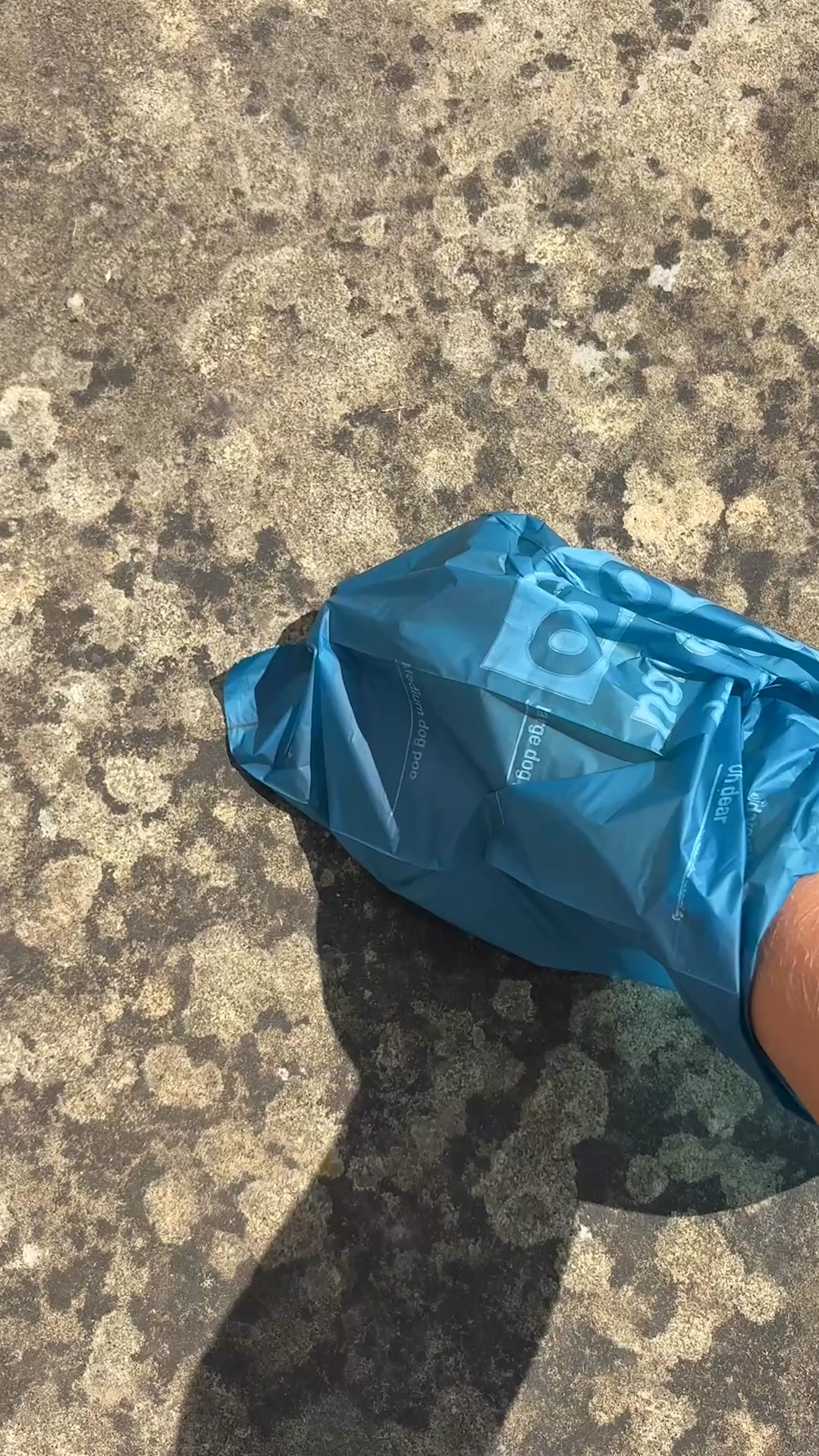 A blue plastic dog waste bag lies on a textured concrete surface, casting a shadow. Text is printed on the bag, including "medium dog poo" and "large dog poo". The image is shot from a high angle, with a person's arm and hand visible on the right side, holding the bag. The overall impression is of a practical, everyday item being presented in a straightforward manner, with the text on the bag serving as a subtle visual element.