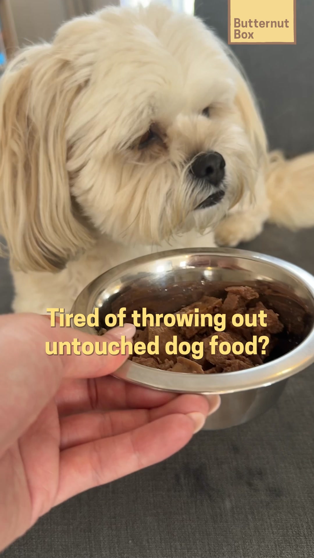 A close-up shot of a fluffy, light-colored dog looking slightly away from the camera. In the foreground, a hand holds a metal bowl filled with dog food. Yellow text overlaid on the image reads "Tired of throwing out untouched dog food?". A small yellow box in the top right corner contains the text "Butternut Box".