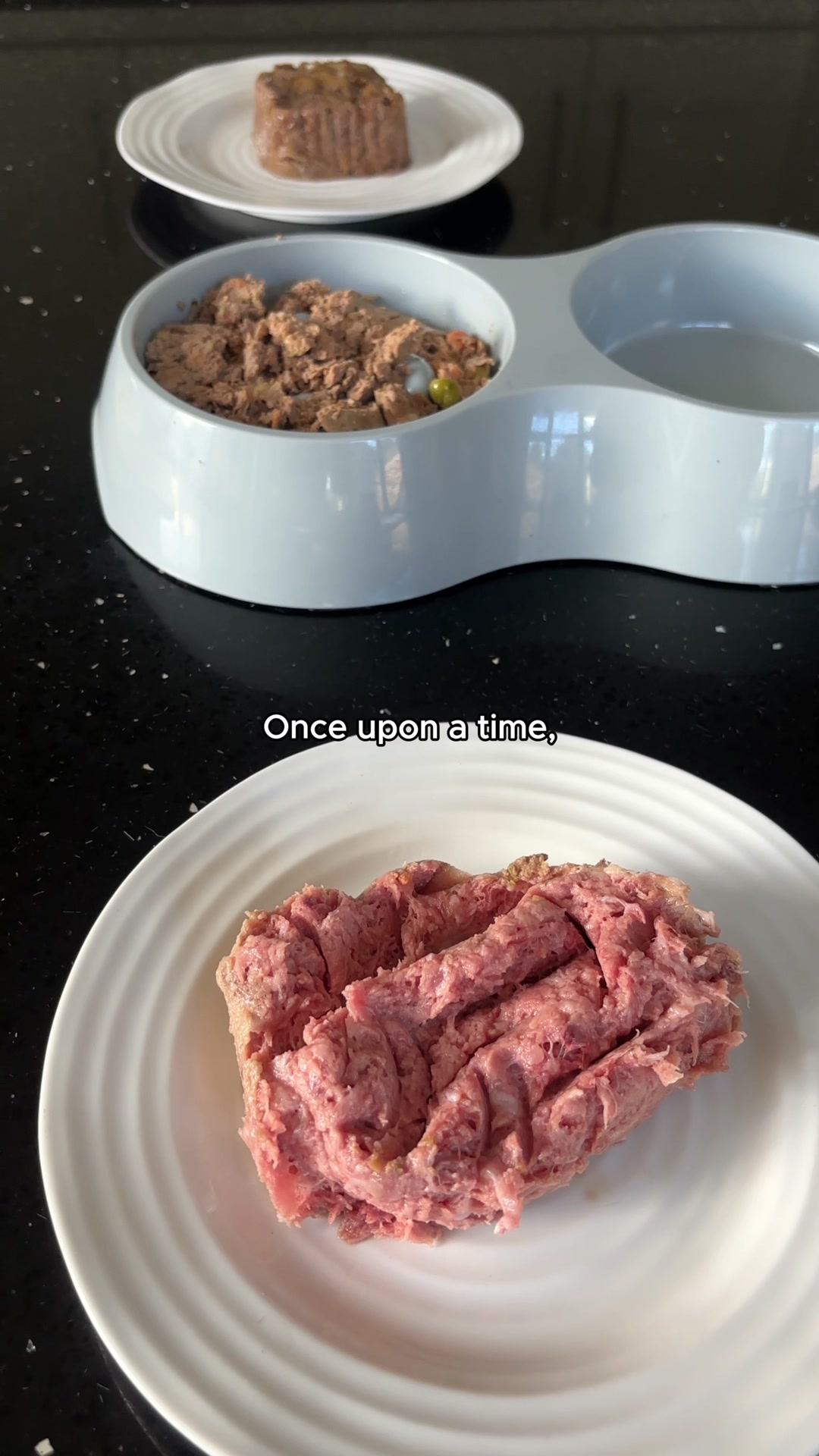 A close-up shot shows a white plate with a large portion of pink, shredded meat. In the background, a grey pet bowl contains more wet dog food, and another white plate holds a small, square portion of dog food. The text "Once upon a time," is overlaid on the image. The creative appears to be setting up a story about the dog food.