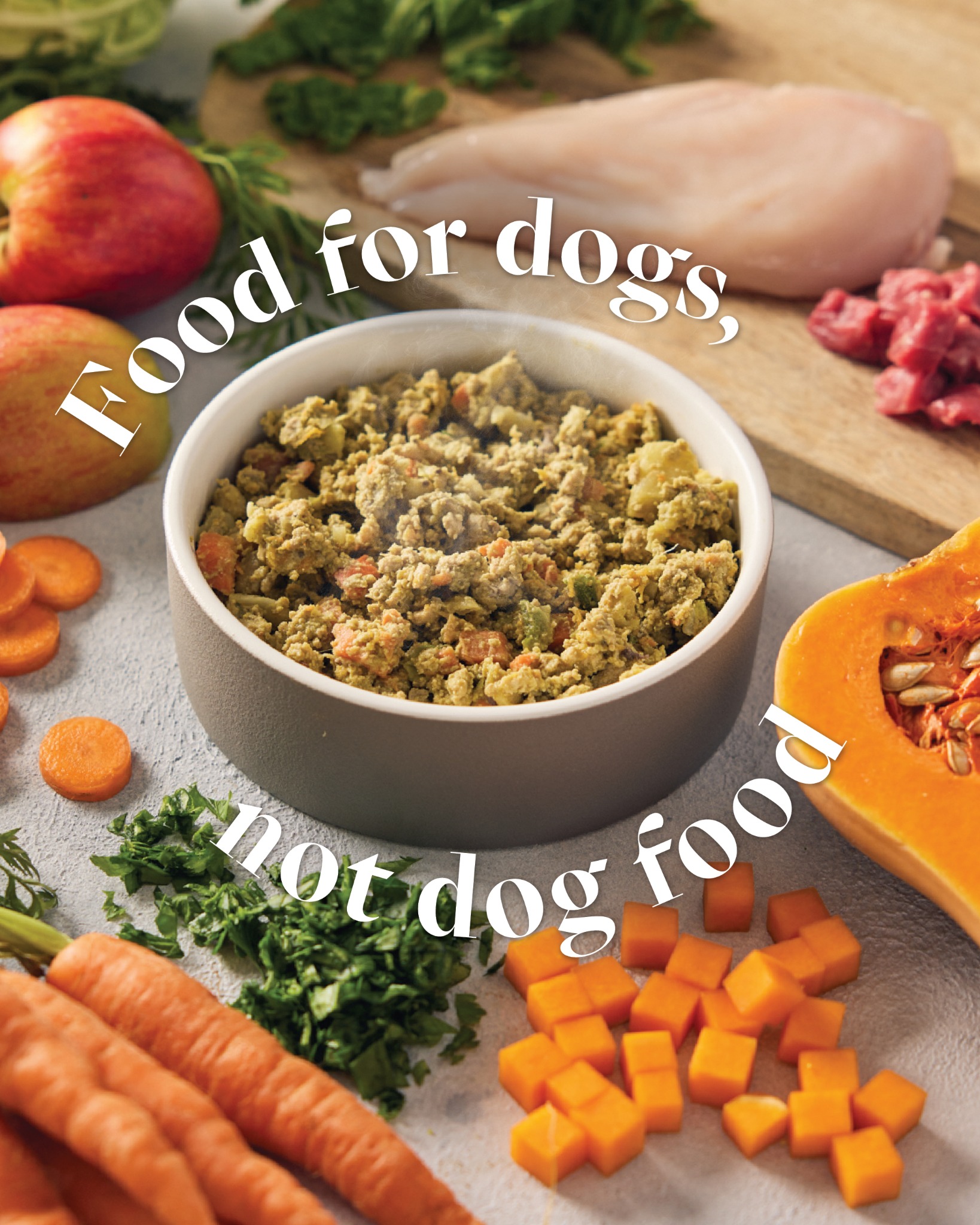 The image displays a bowl of dog food surrounded by fresh ingredients like apples, carrots, butternut squash, raw chicken, and raw beef. White text is overlaid on the image, with the main headline reading "Food for dogs, not dog food" and a secondary line reading "not dog food". The overall impression is of high-quality, human-grade ingredients prepared for canine consumption, contrasting with the typical appearance of commercial dog food.