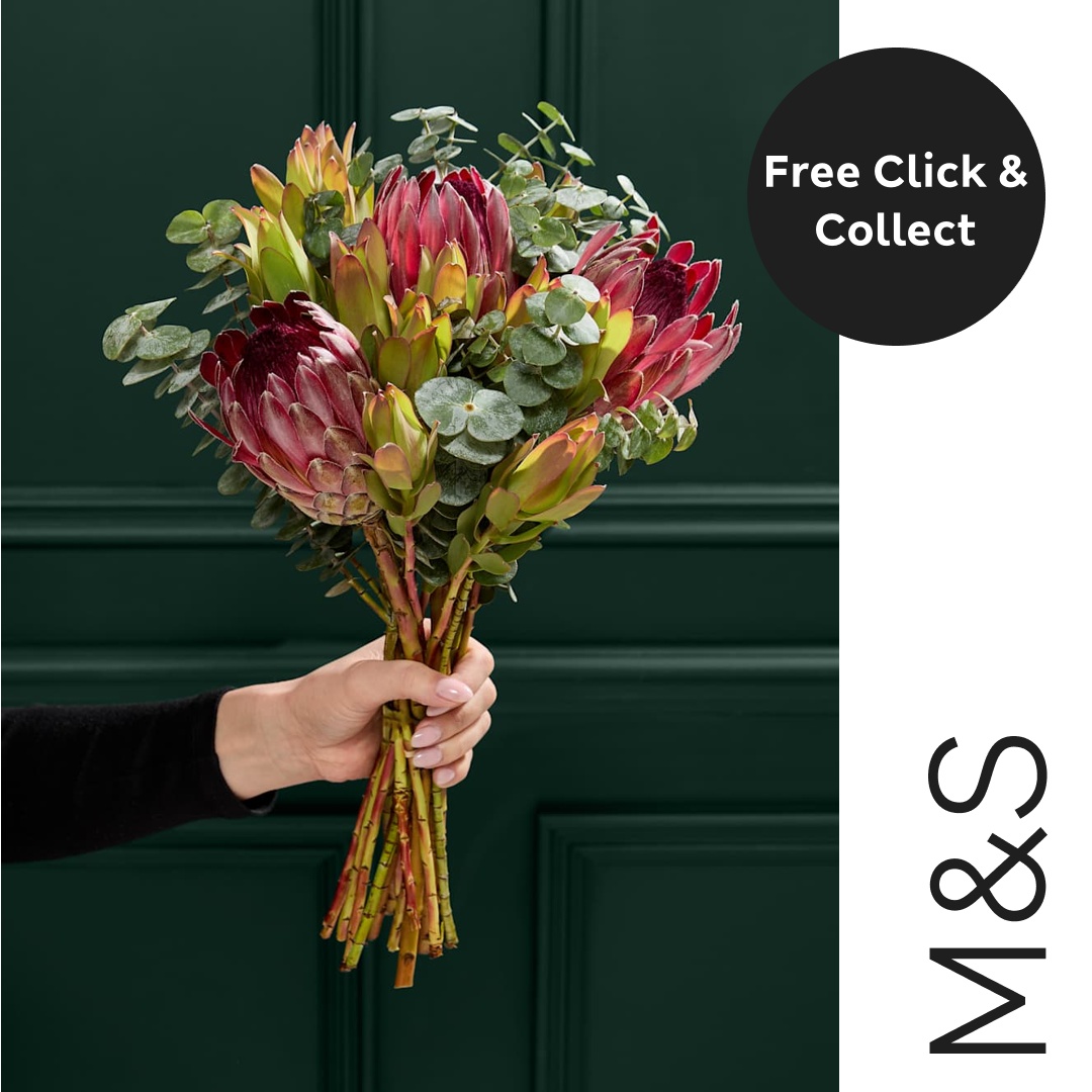 A hand holds a bouquet of large, deep pink and green protea flowers with eucalyptus leaves. To the right of the flowers, a black circle contains white text that reads "Free Click & Collect". Below this, the M&S logo is displayed vertically in white text against a white background. The background of the image is a dark green, paneled wall.