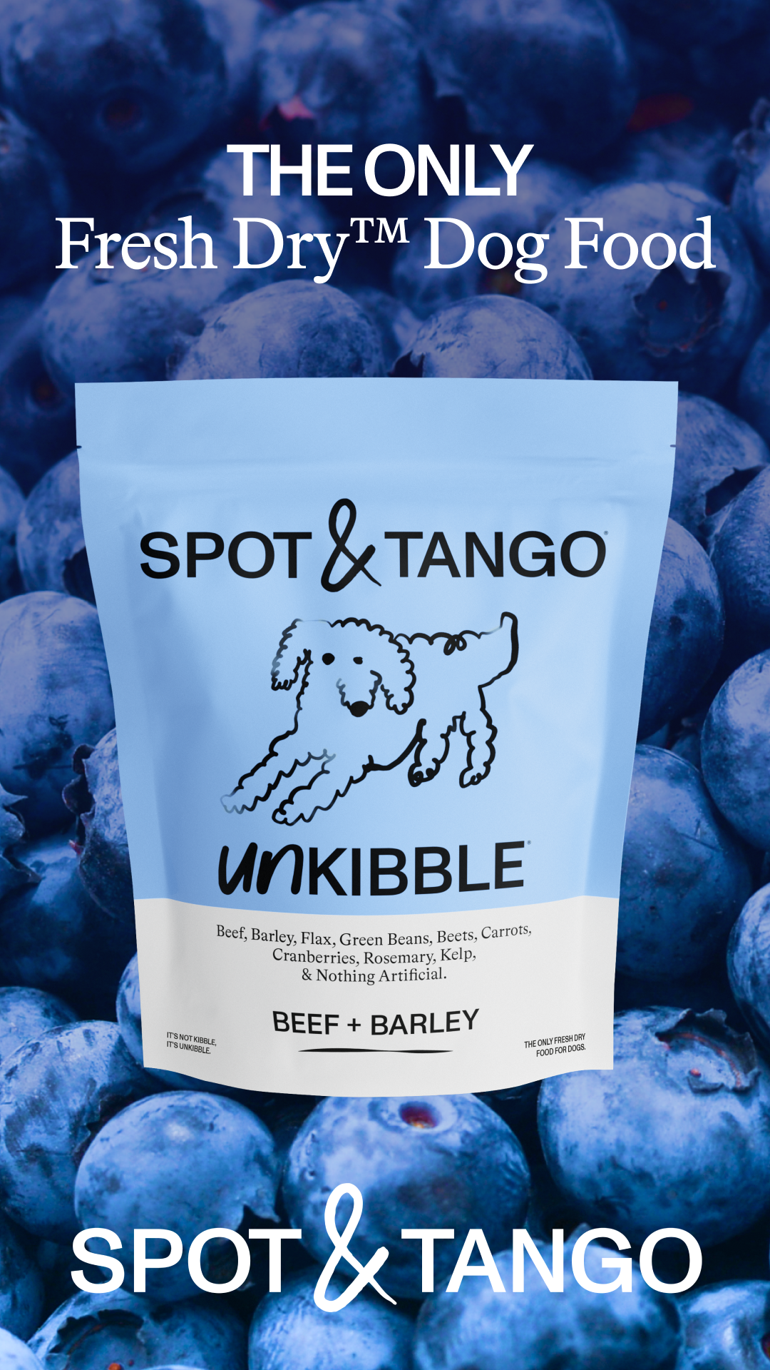 A light blue bag of Spot & Tango dog food is centered on a background of fresh blueberries. The bag features a cartoon drawing of a dog and the text "UN সংস্করণ KIBBLE" and "BEEF + BARLEY". The headline "THE ONLY Fresh Dry™ Dog Food" is displayed prominently at the top of the image. Smaller text on the bag reads "IT'S NOT KIBBLE, IT'S UN সংস্করণ KIBBLE." and "THE ONLY FRESH DRY FOOD FOR DOGS." The brand name "SPOT & TANGO" is also visible at the bottom of the image.